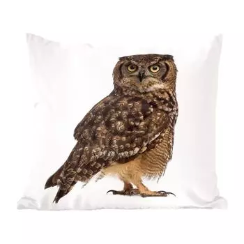 Декоративная подушка MuchoWow, диванная подушка, декоративная подушка для гостиной, 60 х 60 см, коричневая сова на белом фоне - чехол на подушку - хлопчатобумажная ткань - декоративные наволочки