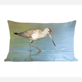 Декоративная подушка MuchoWow, диванная подушка, декоративная подушка для гостиной, 50 х 30 см, красноклювый веретенник, стоящий в воде - чехлы на диванные подушки - без наполнителя