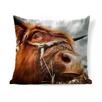 Декоративная подушка MuchoWow Диванная подушка Декоративная подушка для гостиной 60 x 60 см Шотландский горец - Голова коровы - Чехол на подушку - Хлопчатобумажная ткань - Декоративные наволочки