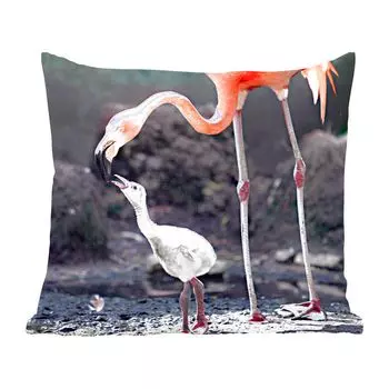 Декоративная подушка MuchoWow, диванная подушка, декоративная подушка для гостиной, 60 х 60 см, мама-фламинго кормит ребенка - чехол на подушку - хлопчатобумажная ткань - декоративные наволочки