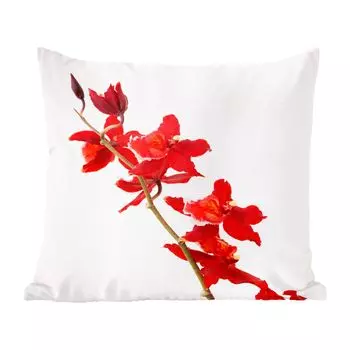 Декоративная подушка MuchoWow, диванная подушка, декоративная подушка для гостиной, 60 х 60 см, красные орхидеи на белом фоне - чехол на подушку - хлопчатобумажная ткань - декоративные чехлы на подушки