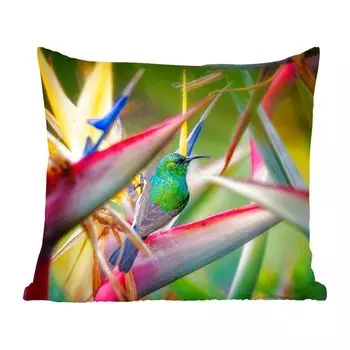 Декоративная подушка MuchoWow, диванная подушка, декоративная подушка для гостиной, 60 х 60 см, разноцветная птица между разноцветными тарелками - чехол на подушку - хлопчатобумажная ткань - декоративные чехлы на подушки