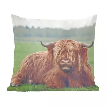 Декоративная подушка MuchoWow, диванная подушка, декоративная подушка для гостиной, 50 х 50 см, шотландский горец - корова - пейзаж - чехлы на подушки - украшение - спальня