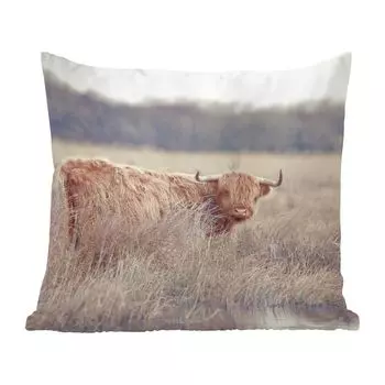 Декоративная подушка MuchoWow, диванная подушка, декоративная подушка для гостиной, 60 х 60 см, шотландский горец - пейзаж - трава - чехол на подушку - хлопчатобумажная ткань - декоративные наволочки, мультиколор