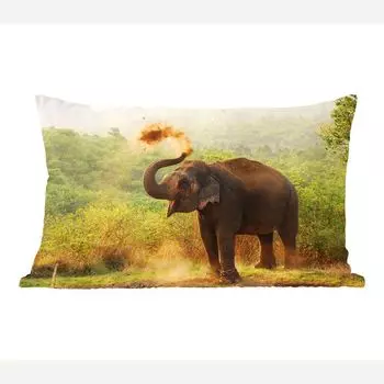 Декоративная подушка MuchoWow, диванная подушка, декоративная подушка для гостиной, 50 х 30 см, слон для чистки - чехлы для диванных подушек - без наполнителя