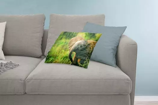 Декоративная подушка MuchoWow Диванная подушка Декоративная подушка для гостиной 60 x 40 см Африканский слон с висячими ушами - Чехлы на подушки - Декоративные чехлы на подушки - Декоративные чехлы