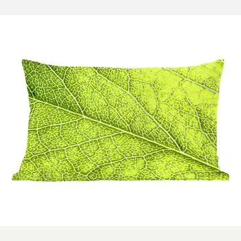 Декоративная подушка MuchoWow, диванная подушка, декоративная подушка для гостиной, 50 х 30 см, зеленые островки в системе вен - чехлы для диванных подушек - без наполнителя