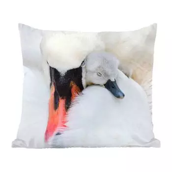Декоративная подушка MuchoWow, диванная подушка, декоративная подушка для гостиной, 50 х 50 см, крупный план лебедя с детенышами - чехлы на подушки - украшение - спальня