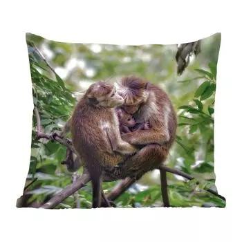 Декоративная подушка MuchoWow Диванная подушка Декоративная подушка для гостиной 60 x 60 см Обезьяны - Ветка - Листья - Чехол на подушку - Хлопчатобумажная ткань - Декоративные наволочки