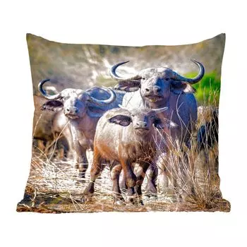 Декоративная подушка MuchoWow, диванная подушка, декоративная подушка для гостиной, 60 х 60 см, группа любопытных буйволов - чехол на подушку - хлопчатобумажная ткань - декоративные наволочки, мультиколор
