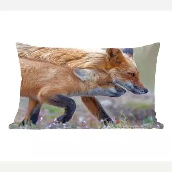 Декоративная подушка MuchoWow, диванная подушка, декоративная подушка для гостиной, 50 х 30 см, рыжая лиса с молодняком - чехлы на диванные подушки - без наполнителя