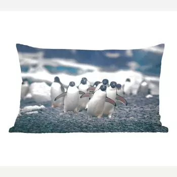 Декоративная подушка MuchoWow, диванная подушка, декоративная подушка для гостиной, 50 х 30 см, пингвины Адели на пляже - чехлы для диванных подушек - без наполнителя