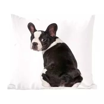 Декоративная подушка MuchoWow Диванная подушка Декоративная подушка для гостиной 45 x 45 см Щенок французского бульдога оглядывается назад - Чехлы на подушки - Декоративные чехлы на подушки - Декоративные чехлы на подушки