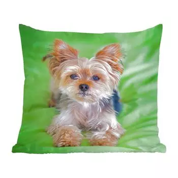 Декоративная подушка MuchoWow Диванная подушка Декоративная подушка для гостиной 60 x 60 см Йоркширский терьер лежит на зеленой подушке - чехол на подушку - хлопчатобумажная ткань - декоративные наволочки