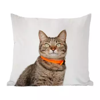 Декоративная подушка MuchoWow диванная подушка для гостиной декоративная подушка 60 x 60 см кот - ожерелье - оранжевый - девочки - дети - мальчики - дети - чехол на подушку - хлопчатобумажная ткань - декоративные чехлы на подушки