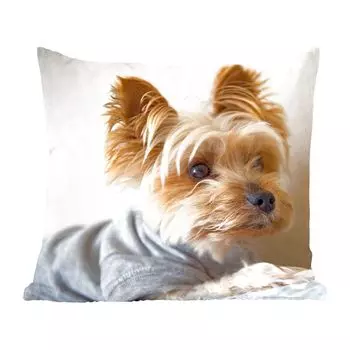 Декоративная подушка MuchoWow диванная подушка для гостиной декоративная подушка 60 х 60 см Йоркширский терьер со свитером - чехол на подушку - хлопчатобумажная ткань - декоративные наволочки