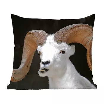 Декоративная подушка MuchoWow диванная подушка для гостиной декоративная подушка 60 x 60 см Bok - животные - рог - чехол на подушку - хлопчатобумажная ткань - декоративные наволочки