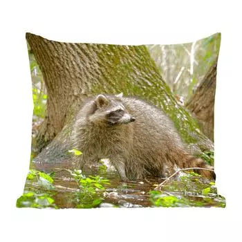 Декоративная подушка MuchoWow диванная подушка для гостиной декоративная подушка 60 x 60 см енот - дикий - лес - чехол на подушку - хлопчатобумажная ткань - декоративные наволочки