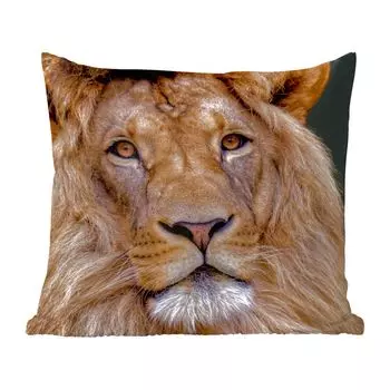 Декоративная подушка MuchoWow диванная подушка для гостиной декоративная подушка 60 x 60 см лев - портрет - темный - чехол на подушку - хлопчатобумажная ткань - декоративные наволочки