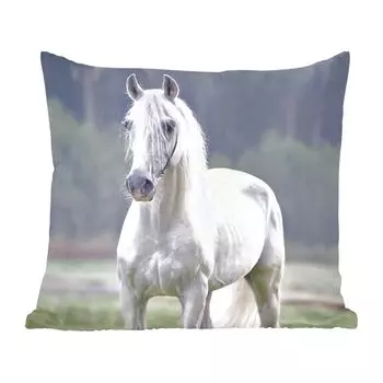 Декоративная подушка MuchoWow диванная подушка для гостиной декоративная подушка 60 x 60 см лошадь - светлая - утро - чехол на подушку - хлопчатобумажная ткань - декоративные наволочки