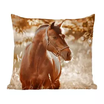 Декоративная подушка MuchoWow диванная подушка для гостиной декоративная подушка 60 x 60 см лошадь - солнце - портрет - природа - коричневый - чехол на подушку - хлопчатобумажная ткань - декоративные наволочки