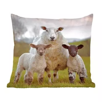 Декоративная подушка MuchoWow диванная подушка для гостиной декоративная подушка 60 x 60 см овца - натуральный - черный - белый - чехол на подушку - хлопчатобумажная ткань - декоративные чехлы на подушки