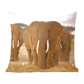 Декоративная подушка MuchoWow диванная подушка для гостиной декоративная подушка 60 x 60 см слон - трава - серый - чехол на подушку - хлопчатобумажная ткань - декоративные наволочки