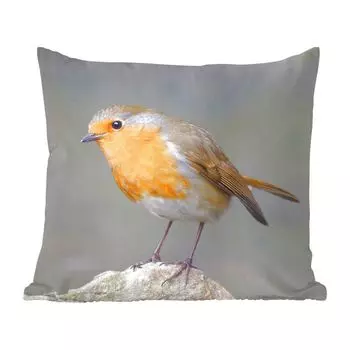 Декоративная подушка MuchoWow диванная подушка для гостиной декоративная подушка 60 x 60 см птица - малиновка - скалы - чехол на подушку - хлопчатобумажная ткань - декоративные наволочки