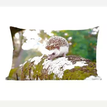 Декоративная подушка MuchoWow диванная подушка для гостиной декоративная подушка 50х30 см ежик бегает по ветке - чехлы на диванные подушки - без наполнителя