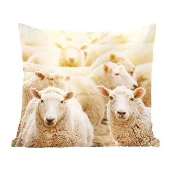 Декоративная подушка MuchoWow диванная подушка для гостиной декоративная подушка 60 x 60 см овечья шерсть - белый - чехол на подушку - хлопчатобумажная ткань - декоративные наволочки