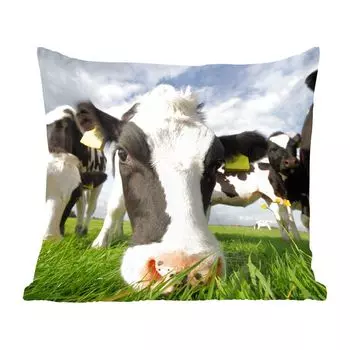 Декоративная подушка MuchoWow, диванная подушка для гостиной, декоративная подушка 60 x 60 см, коровы - трава - нос - воздух - чехол на подушку - хлопчатобумажная ткань - декоративные наволочки