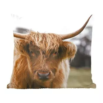 Декоративная подушка MuchoWow диванная подушка для гостиной декоративная подушка 40 x 40 см Scottish Highlander - портрет - чехлы на диванные подушки - без наполнителя