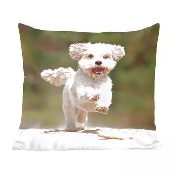 Декоративная подушка MuchoWow диванная подушка для гостиной декоративная подушка 60x60 см Собака Ши-тцу прыгает по желтому песку - чехол на подушку - хлопчатобумажная ткань - декоративные чехлы на подушки