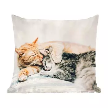 Декоративная подушка MuchoWow диванная подушка для гостиной декоративная подушка 60 x 60 см кошки - диван - гостиная - чехол на подушку - хлопчатобумажная ткань - декоративные чехлы на подушки