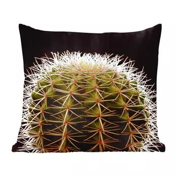 Декоративная подушка MuchoWow диванная подушка для гостиной декоративная подушка 60х60 см. Крупный план колючего кактуса на черном фоне - чехол на подушку - хлопчатобумажная ткань - декоративные наволочки