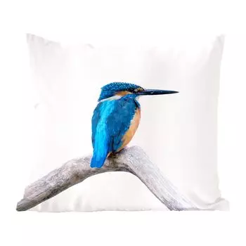 Декоративная подушка MuchoWow диванная подушка для гостиной декоративная подушка 60 x 60 см зимородок - ветка - клюв - чехол на подушку - хлопчатобумажная ткань - декоративные наволочки