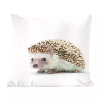 Декоративная подушка MuchoWow диванная подушка для гостиной декоративная подушка 40х40 см ёжик - животные - белый - чехлы на диванные подушки - без наполнителя