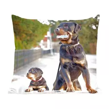 Декоративная подушка MuchoWow диванная подушка для гостиной декоративная подушка 60х60 см Щенок ротвейлера рядом со взрослым ротвейлером - чехол на подушку - хлопчатобумажная ткань - декоративные чехлы на подушки