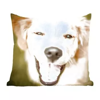 Декоративная подушка MuchoWow диванная подушка для гостиной декоративная подушка 60x60 см Блеск в глазах этого лабрадора-ретривера - чехол на подушку - хлопчатобумажная ткань - декоративные наволочки
