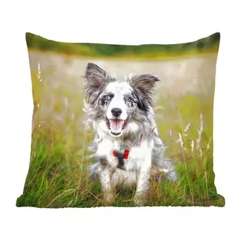 Декоративная подушка MuchoWow диванная подушка для гостиной декоративная подушка 40x40 см Бордер-колли лежит в траве - чехлы на диванные подушки - без наполнителя