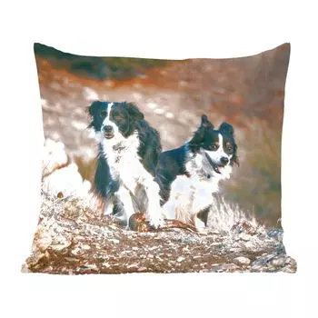 Декоративная подушка MuchoWow диванная подушка для гостиной декоративная подушка 60х60 см Бордер-колли в походе в горы Юты - чехол на подушку - хлопчатобумажная ткань - декоративные наволочки