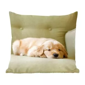 Декоративная подушка MuchoWow диванная подушка для гостиной декоративная подушка 40х40 см Спящий щенок золотистого ретривера на диване - чехлы на диванные подушки - без наполнителя