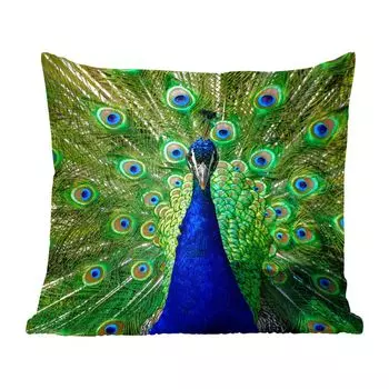Декоративная подушка MuchoWow диванная подушка для гостиной декоративная подушка 50 x 50 см павлин - перья - глаза - чехлы на подушки - украшение - спальня