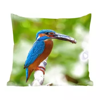 Декоративная подушка MuchoWow диванная подушка для гостиной декоративная подушка 60 x 60 см зимородок - рыба - дерево - чехол на подушку - хлопчатобумажная ткань - декоративные чехлы на подушки