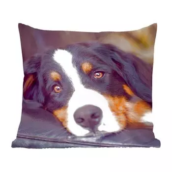 Декоративная подушка MuchoWow диванная подушка для гостиной декоративная подушка 60x60 см Бернский зенненхунд лежит на диване - чехол на подушку - хлопчатобумажная ткань - декоративные наволочки