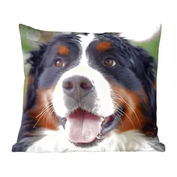 Декоративная подушка MuchoWow диванная подушка для гостиной декоративная подушка 60 х 60 см, вид спереди на голову бернского зенненхунда - чехол на подушку - хлопчатобумажная ткань - декоративные наволочки