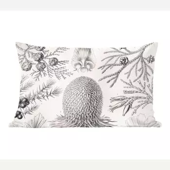 Декоративная подушка MuchoWow диванная подушка для гостиной декоративная подушка 50 x 30 см хвойные деревья - Ernst Haeckel - искусство - ретро - иллюстрация - природа - чехлы на диванные подушки - без наполнителя