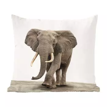 Декоративная подушка MuchoWow диванная подушка для гостиной декоративная подушка 60 x 60 см животные - слон - серый - чехол на подушку - хлопчатобумажная ткань - декоративные чехлы на подушки