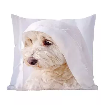Декоративная подушка MuchoWow диванная подушка для гостиной декоративная подушка 45х45 см Белая мальтийская собака смотрит из окна - чехлы на подушки - декоративные чехлы на подушки - декоративные чехлы на подушки