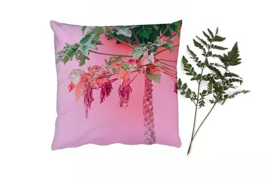 Декоративная подушка MuchoWow диванная подушка для гостиной декоративная подушка 40 x 40 см пальма - тропический - розовый - лето - чехлы на диванные подушки - без наполнителя